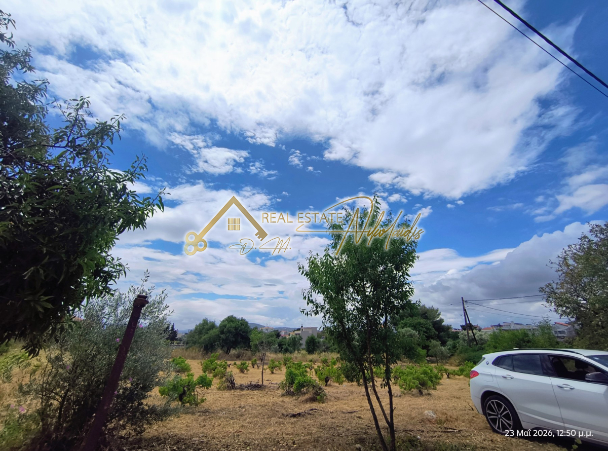property-img
